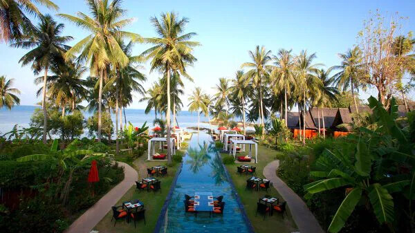 Kupu Kupu Phangan ( Koh Phangan )